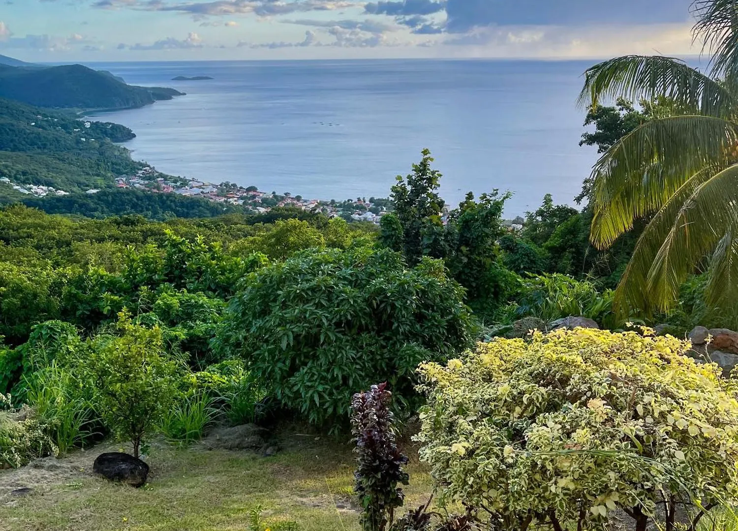 Villa Tropical Soul Pointe-Noire Gwadelupa