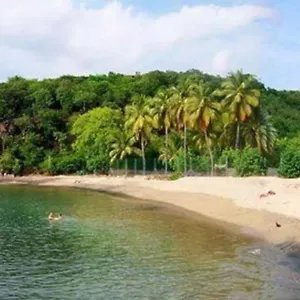 Le Moringa Pointe-Noire